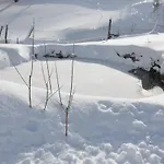 Dvor Pod Krikmi *