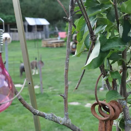 Dvor Pod Krikmi Campsite