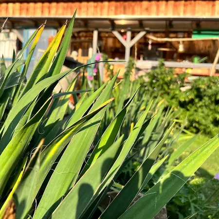 Dvor Pod Krikmi Campsite *