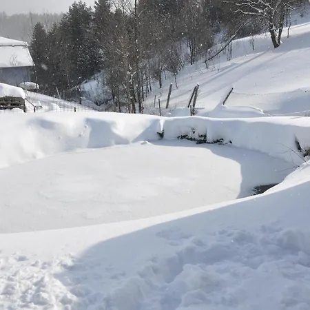 Dvor Pod Krikmi אתר קמפינג *