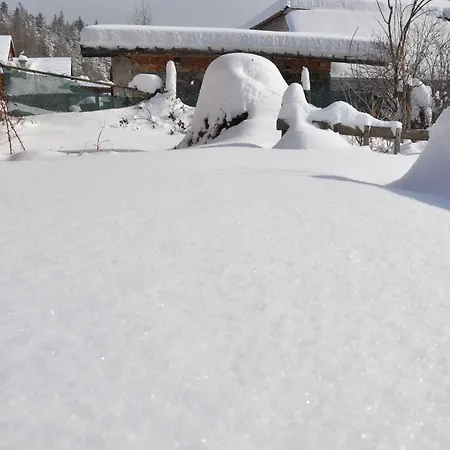 Campsite Dvor Pod Krikmi *