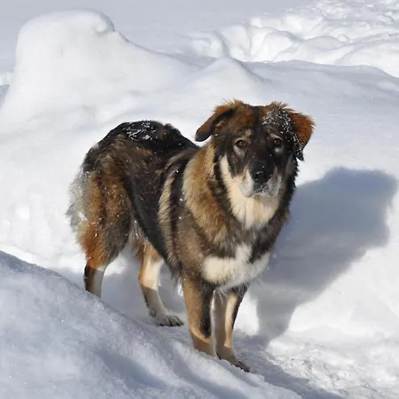 Dvor Pod Krikmi * Spissky Stvrtok