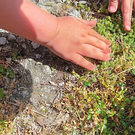 Dvor Pod Kríkmi Camping Spissky Stvrtok