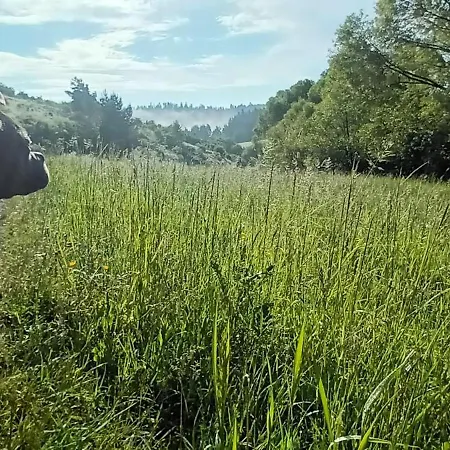 Dvor Pod Krikmi Spissky Stvrtok