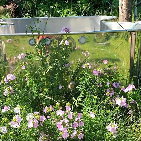 Campsite Dvor Pod Krikmi *