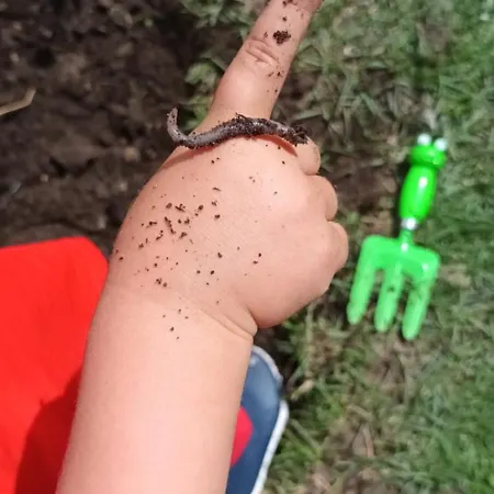 キャンプ場 Dvor Pod Krikmi *