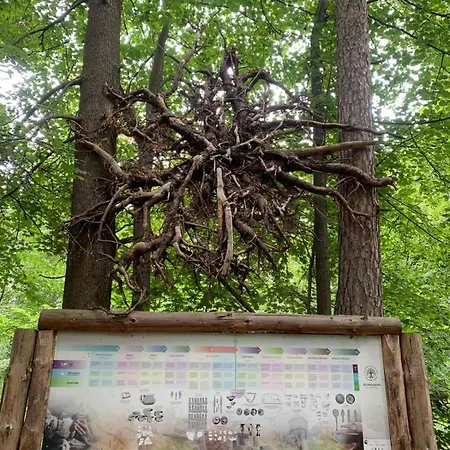 Campsite Dvor Pod Krikmi