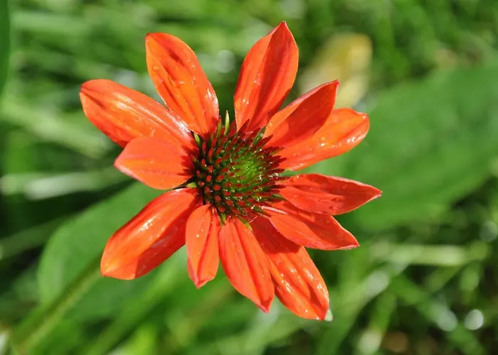 Campsite Dvor Pod Krikmi