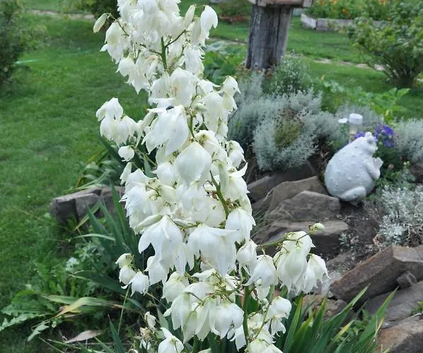 Dvor Pod Krikmi Spissky Stvrtok