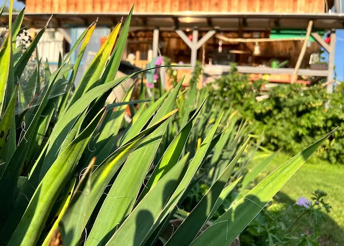 Dvor Pod Krikmi Campsite *