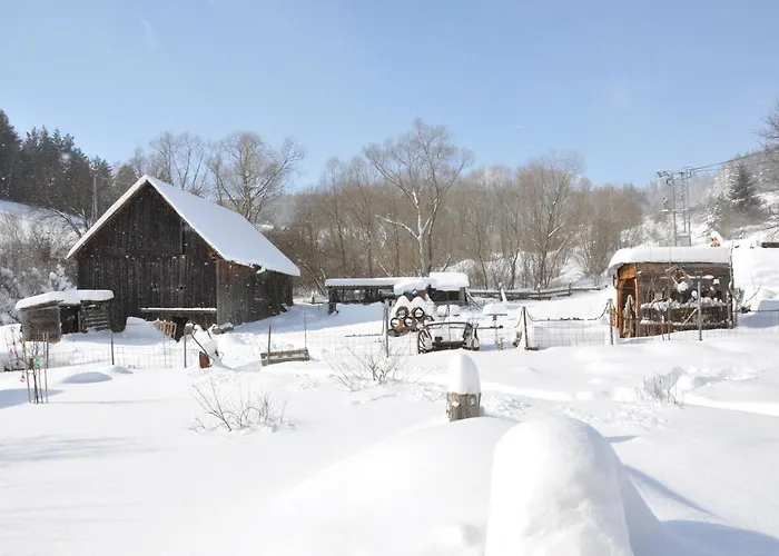 Campsite Dvor Pod Krikmi *