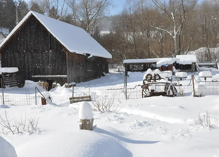 Dvor Pod Krikmi Campsite *