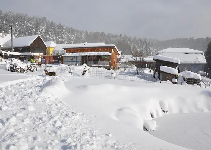 Dvor Pod Krikmi Campsite *