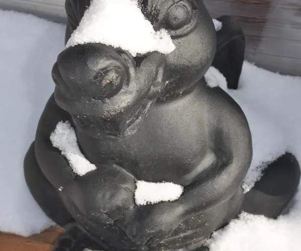 Dvor Pod Krikmi Spissky Stvrtok