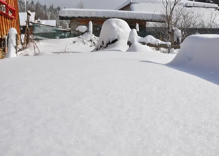 Campsite Dvor Pod Krikmi *