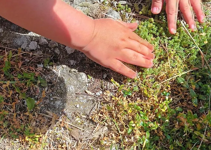 Dvor Pod Krikmi Campsite Spissky Stvrtok