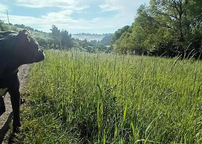 Dvor Pod Krikmi Spissky Stvrtok