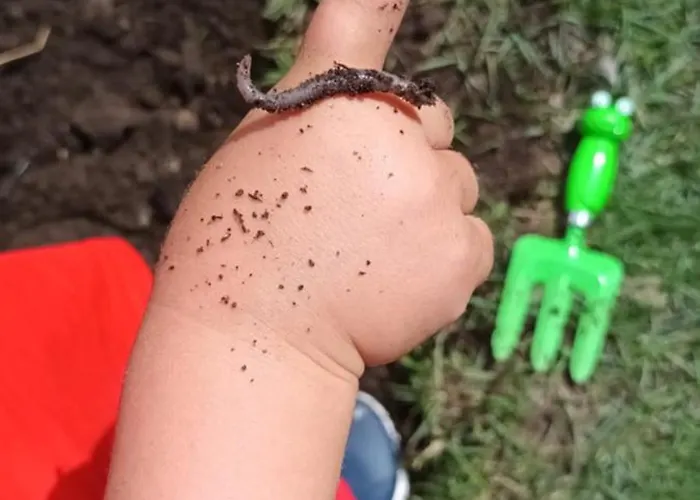 Campsite Dvor Pod Krikmi *