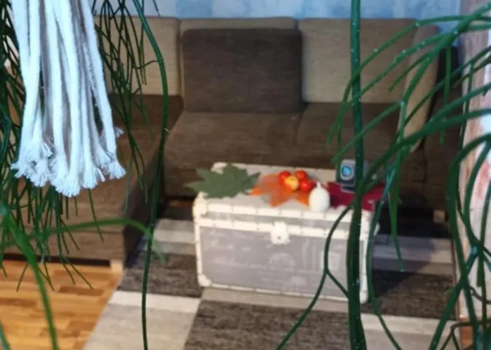 Campsite Dvor Pod Krikmi